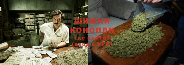 гидропоника Нягань