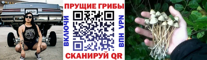 купить закладку  Белово  сайты даркнета какой сайт  Псилоцибиновые грибы ЛСД 