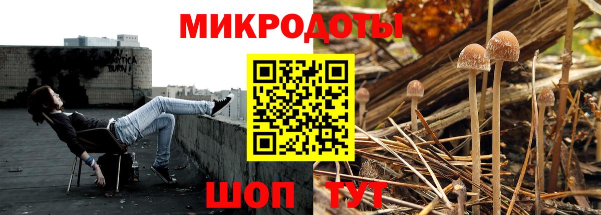 Псилоцибиновые грибы GOLDEN TEACHER  наркотики  Белово 