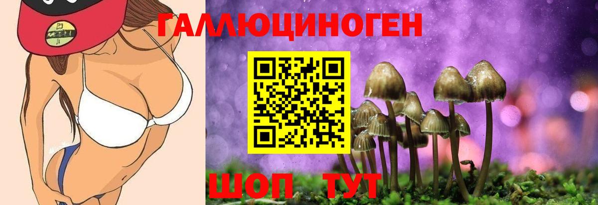 Галлюциногенные грибы мухоморы Белово