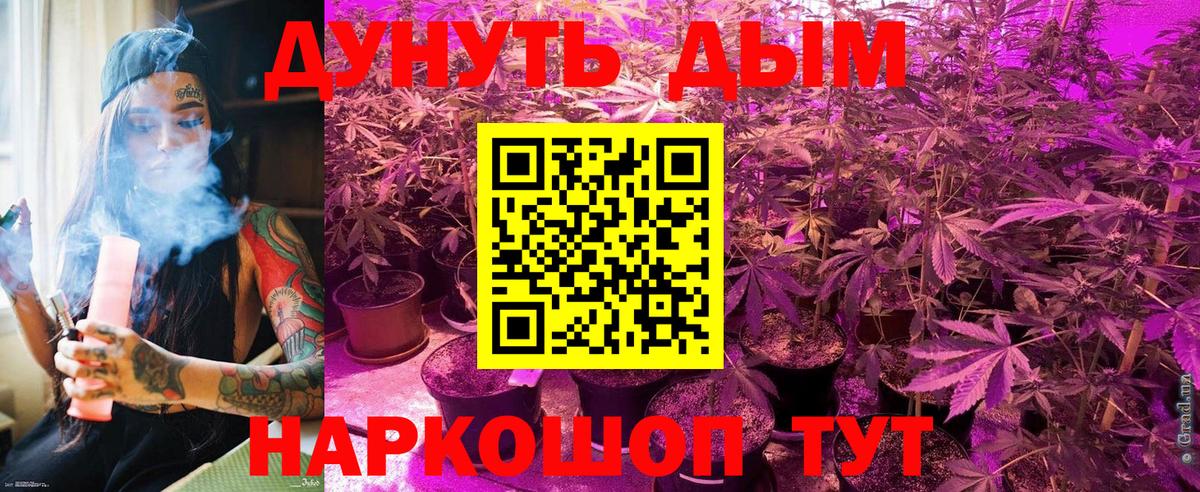 Каннабис сатива Белово